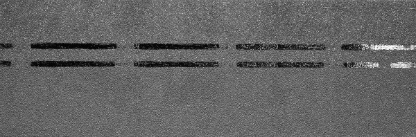 Коньково-карнизная черепица Docke Premium, черника купить в Кировске