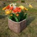 Цветник КАНЬОН купить в Кировске