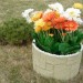 Цветник КАНЬОН купить в Кировске